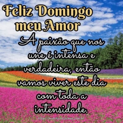 Feliz domingo meu amor! A paixão que nos une é intensa e verdadeira, então vamos viver este dia com toda a intensidade. Feliz domingo meu amor! A paixão que nos une é intensa e verdadeira, então vamos viver este dia com toda a intensidade.