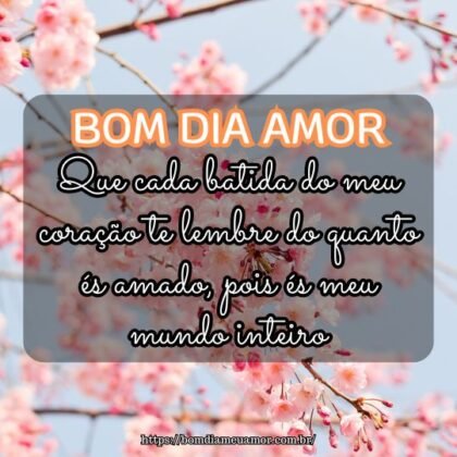 Bom dia amor da minha vida! Que cada batida do meu coração te lembre do quanto és amado, pois és meu mundo inteiro. Bom dia amor da minha vida! Que cada batida do meu coração te lembre do quanto és amado, pois és meu mundo inteiro.