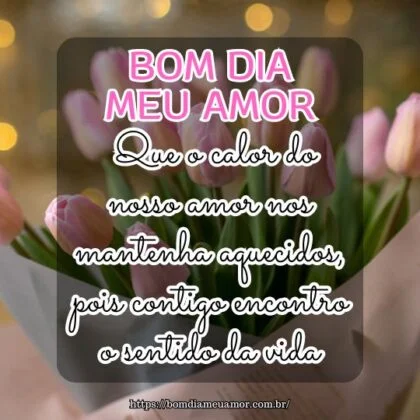 Bom dia amor! Que o calor do nosso amor nos mantenha aquecidos, pois contigo encontro o sentido da vida.