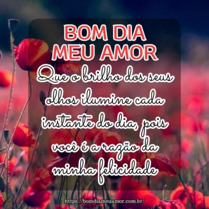 Bom dia meu amor! Que o brilho dos seus olhos ilumine cada instante do dia, pois você é a razão da minha felicidade.