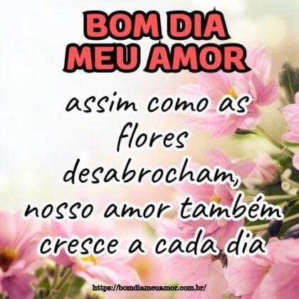 Bom dia meu amor, assim como as flores desabrocham, nosso amor também cresce a cada dia. Bom dia meu amor, assim como as flores desabrocham, nosso amor também cresce a cada dia.