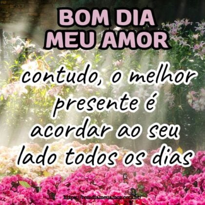 Bom dia meu amor, contudo, o melhor presente é acordar ao seu lado todos os dias. Bom dia meu amor, contudo, o melhor presente é acordar ao seu lado todos os dias.