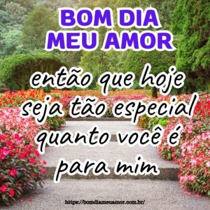 Bom dia meu amor, então que hoje seja tão especial quanto você é para mim. Bom dia meu amor, então que hoje seja tão especial quanto você é para mim.