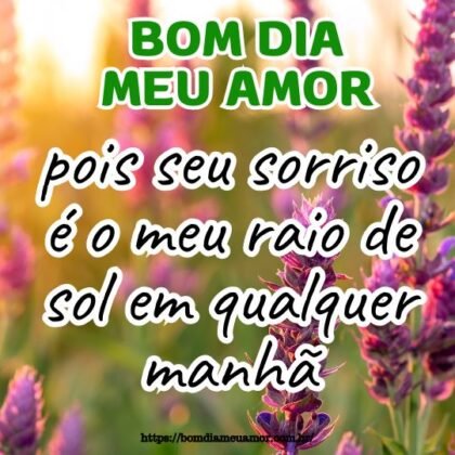 Bom dia meu amor, pois seu sorriso é o meu raio de sol em qualquer manhã. Bom dia meu amor, pois seu sorriso é o meu raio de sol em qualquer manhã.