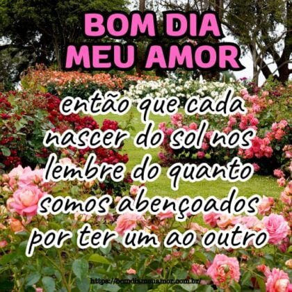 Bom dia meu amor, então que cada nascer do sol nos lembre do quanto somos abençoados por ter um ao outro. Bom dia meu amor, então que cada nascer do sol nos lembre do quanto somos abençoados por ter um ao outro.
