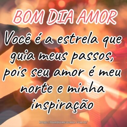 Bom dia meu amorzão, você é a estrela que guia meus passos, pois seu amor é meu norte e minha inspiração. Bom dia meu amorzão, você é a estrela que guia meus passos, pois seu amor é meu norte e minha inspiração.