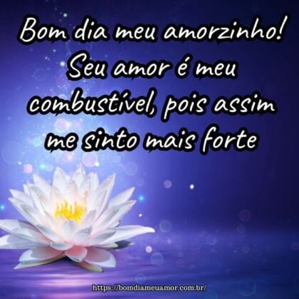 Bom dia meu amorzinho! Seu amor é meu combustível, pois assim me sinto mais forte. Bom dia meu amorzinho! Seu amor é meu combustível, pois assim me sinto mais forte.