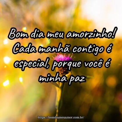 Bom dia meu amorzinho! Cada manhã contigo é especial, porque você é minha paz. Bom dia meu amorzinho! Cada manhã contigo é especial, porque você é minha paz.