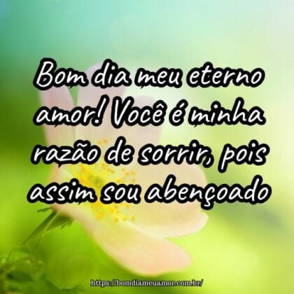 Bom dia meu eterno amor! Você é minha razão de sorrir, pois assim sou abençoado. Bom dia meu eterno amor! Você é minha razão de sorrir, pois assim sou abençoado.