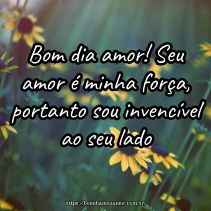 Bom dia amor! Seu amor é minha força, portanto sou invencível ao seu lado. Bom dia amor! Seu amor é minha força, portanto sou invencível ao seu lado.