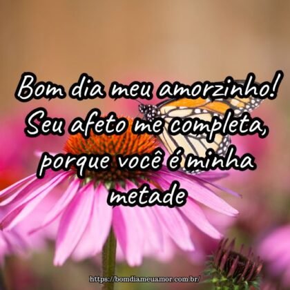 Bom dia meu amorzinho! Seu afeto me completa, porque você é minha metade. Bom dia meu amorzinho! Seu afeto me completa, porque você é minha metade.