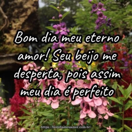 Bom dia meu eterno amor! Seu beijo me desperta, pois assim meu dia é perfeito. Bom dia meu eterno amor! Seu beijo me desperta, pois assim meu dia é perfeito.