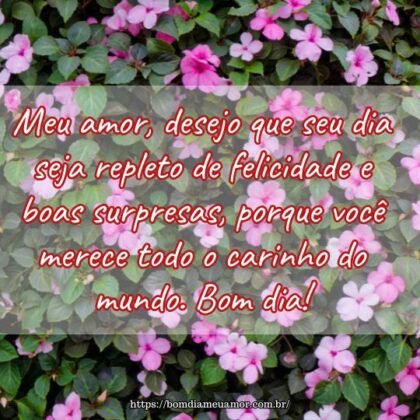 Meu amor, desejo que seu dia seja repleto de felicidade e boas surpresas, porque você merece todo o carinho do mundo. Bom dia! Meu amor, desejo que seu dia seja repleto de felicidade e boas surpresas, porque você merece todo o carinho do mundo. Bom dia!