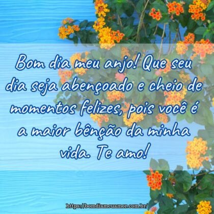 Bom dia meu anjo! Que seu dia seja abençoado e cheio de momentos felizes, pois você é a maior bênção da minha vida. Te amo! Bom dia meu anjo! Que seu dia seja abençoado e cheio de momentos felizes, pois você é a maior bênção da minha vida. Te amo!