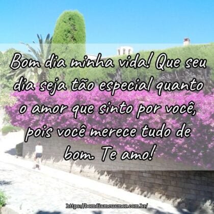 Bom dia minha vida! Que seu dia seja tão especial quanto o amor que sinto por você, pois você merece tudo de bom. Te amo! Bom dia minha vida! Que seu dia seja tão especial quanto o amor que sinto por você, pois você merece tudo de bom. Te amo!