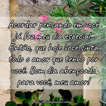 Acordar pensando em você já faz meu dia especial. Então, que hoje você sinta todo o amor que tenho por você. Bom dia abençoado para você, meu amor! Acordar pensando em você já faz meu dia especial. Então, que hoje você sinta todo o amor que tenho por você. Bom dia abençoado para você, meu amor!