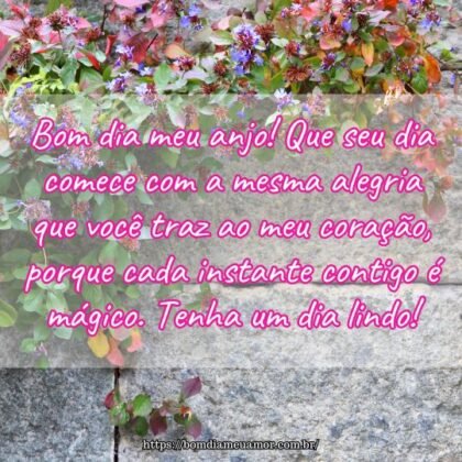 Bom dia meu anjo! Que seu dia comece com a mesma alegria que você traz ao meu coração, porque cada instante contigo é mágico. Tenha um dia lindo! Bom dia meu anjo! Que seu dia comece com a mesma alegria que você traz ao meu coração, porque cada instante contigo é mágico. Tenha um dia lindo!