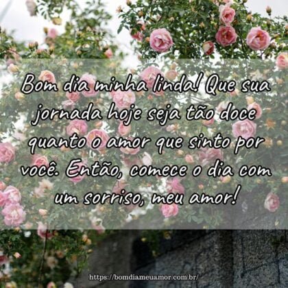 Bom dia minha linda! Que sua jornada hoje seja tão doce quanto o amor que sinto por você. Então, comece o dia com um sorriso, meu amor! Bom dia minha linda! Que sua jornada hoje seja tão doce quanto o amor que sinto por você. Então, comece o dia com um sorriso, meu amor!