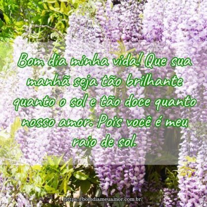 Bom dia minha vida! Que sua manhã seja tão brilhante quanto o sol e tão doce quanto nosso amor. Pois você é meu raio de sol. Bom dia minha vida! Que sua manhã seja tão brilhante quanto o sol e tão doce quanto nosso amor. Pois você é meu raio de sol.