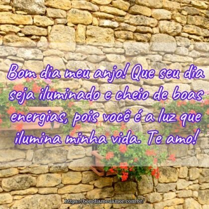 Bom dia meu anjo! Que seu dia seja iluminado e cheio de boas energias, pois você é a luz que ilumina minha vida. Te amo! Bom dia meu anjo! Que seu dia seja iluminado e cheio de boas energias, pois você é a luz que ilumina minha vida. Te amo!