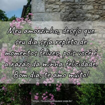 Meu amorzinho, desejo que seu dia seja repleto de momentos felizes, pois você é a razão da minha felicidade. Bom dia, te amo muito! Meu amorzinho, desejo que seu dia seja repleto de momentos felizes, pois você é a razão da minha felicidade. Bom dia, te amo muito!