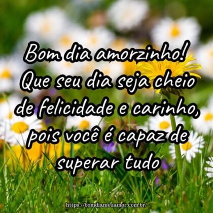 Bom dia amorzinho! Que seu dia seja cheio de felicidade e carinho, pois você é capaz de superar tudo. Bom dia amorzinho! Que seu dia seja cheio de felicidade e carinho, pois você é capaz de superar tudo.