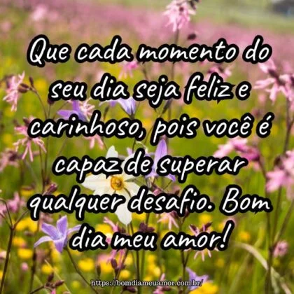 Que cada momento do seu dia seja feliz e carinhoso, pois você é capaz de superar qualquer desafio. Bom dia meu amor!