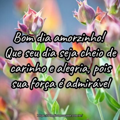 Bom dia amorzinho! Que seu dia seja cheio de carinho e alegria, pois sua força é admirável. Bom dia amorzinho! Que seu dia seja cheio de carinho e alegria, pois sua força é admirável.