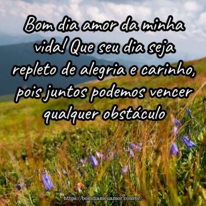 Bom dia amor da minha vida! Que seu dia seja repleto de alegria e carinho, pois juntos podemos vencer qualquer obstáculo. Bom dia amor da minha vida! Que seu dia seja repleto de alegria e carinho, pois juntos podemos vencer qualquer obstáculo.