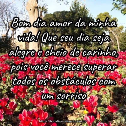 Bom dia amor da minha vida! Que seu dia seja alegre e cheio de carinho, pois você merece superar todos os obstáculos com um sorriso. Bom dia amor da minha vida! Que seu dia seja alegre e cheio de carinho, pois você merece superar todos os obstáculos com um sorriso.