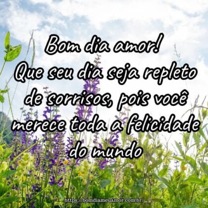 Bom dia amor! Que seu dia seja repleto de sorrisos, pois você merece toda a felicidade do mundo. Bom dia amor! Que seu dia seja repleto de sorrisos, pois você merece toda a felicidade do mundo.