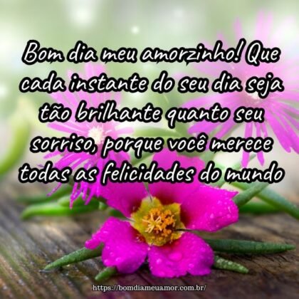 Bom dia meu amorzinho! Que cada instante do seu dia seja tão brilhante quanto seu sorriso, porque você merece todas as felicidades do mundo. Bom dia meu amorzinho! Que cada instante do seu dia seja tão brilhante quanto seu sorriso, porque você merece todas as felicidades do mundo.