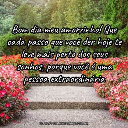 Bom dia meu amorzinho! Que cada passo que você der hoje te leve mais perto dos seus sonhos, porque você é uma pessoa extraordinária. Bom dia meu amorzinho! Que cada passo que você der hoje te leve mais perto dos seus sonhos, porque você é uma pessoa extraordinária.