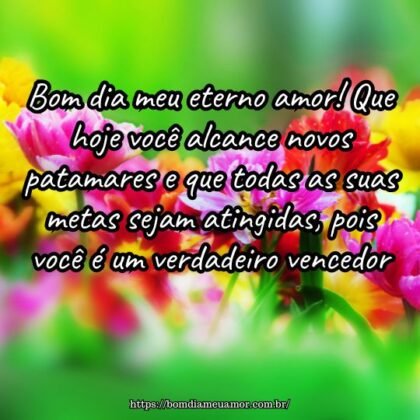 Bom dia meu eterno amor! Que hoje você alcance novos patamares e que todas as suas metas sejam atingidas, pois você é um verdadeiro vencedor. Bom dia meu eterno amor! Que hoje você alcance novos patamares e que todas as suas metas sejam atingidas, pois você é um verdadeiro vencedor.