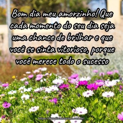 Bom dia meu amorzinho! Que cada momento do seu dia seja uma chance de brilhar e que você se sinta vitorioso, porque você merece todo o sucesso. Bom dia meu amorzinho! Que cada momento do seu dia seja uma chance de brilhar e que você se sinta vitorioso, porque você merece todo o sucesso.