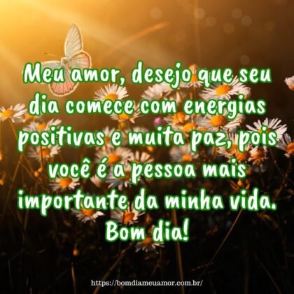 Meu amor, desejo que seu dia comece com energias positivas e muita paz, pois você é a pessoa mais importante da minha vida. Bom dia! Meu amor, desejo que seu dia comece com energias positivas e muita paz, pois você é a pessoa mais importante da minha vida. Bom dia!