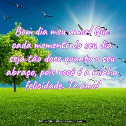 Bom dia meu amor! Que cada momento do seu dia seja tão doce quanto o seu abraço, pois você é a minha felicidade. Te amo! Bom dia meu amor! Que cada momento do seu dia seja tão doce quanto o seu abraço, pois você é a minha felicidade. Te amo!