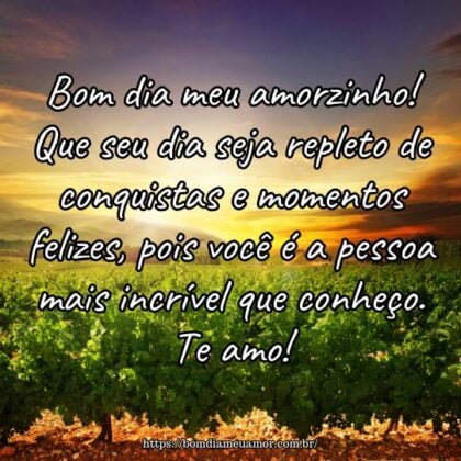 Bom dia meu amorzinho! Que seu dia seja repleto de conquistas e momentos felizes, pois você é a pessoa mais incrível que conheço. Te amo! Bom dia meu amorzinho! Que seu dia seja repleto de conquistas e momentos felizes, pois você é a pessoa mais incrível que conheço. Te amo!