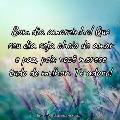 Bom dia amorzinho! Que seu dia seja cheio de amor e paz, pois você merece tudo de melhor. Te adoro! Bom dia amorzinho! Que seu dia seja cheio de amor e paz, pois você merece tudo de melhor. Te adoro!