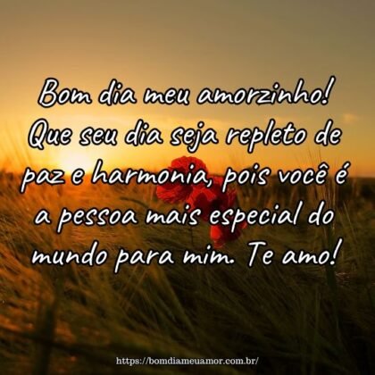 Bom dia meu amorzinho! Que seu dia seja repleto de paz e harmonia, pois você é a pessoa mais especial do mundo para mim. Te amo! Bom dia meu amorzinho! Que seu dia seja repleto de paz e harmonia, pois você é a pessoa mais especial do mundo para mim. Te amo!