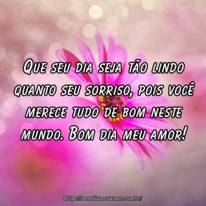 Que seu dia seja tão lindo quanto seu sorriso, pois você merece tudo de bom neste mundo. Bom dia meu amor! Que seu dia seja tão lindo quanto seu sorriso, pois você merece tudo de bom neste mundo. Bom dia meu amor!
