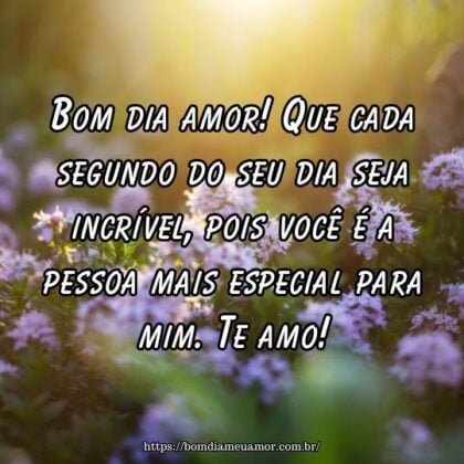 Bom dia amor! Que cada segundo do seu dia seja incrível, pois você é a pessoa mais especial para mim. Te amo! Bom dia amor! Que cada segundo do seu dia seja incrível, pois você é a pessoa mais especial para mim. Te amo!
