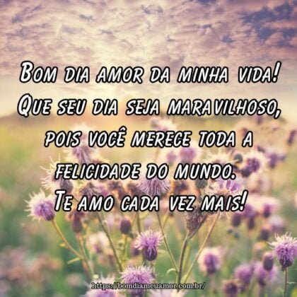 Bom dia amor da minha vida! Que seu dia seja maravilhoso, pois você merece toda a felicidade do mundo. Te amo cada vez mais! Bom dia amor da minha vida! Que seu dia seja maravilhoso, pois você merece toda a felicidade do mundo. Te amo cada vez mais!