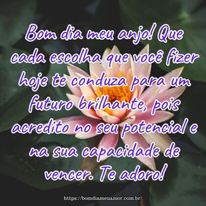 Bom dia meu anjo! Que cada escolha que você fizer hoje te conduza para um futuro brilhante, pois acredito no seu potencial e na sua capacidade de vencer. Te adoro! Bom dia meu anjo! Que cada escolha que você fizer hoje te conduza para um futuro brilhante, pois acredito no seu potencial e na sua capacidade de vencer. Te adoro!