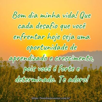 Bom dia minha vida! Que cada desafio que você enfrentar hoje seja uma oportunidade de aprendizado e crescimento, pois você é forte e determinado. Te adoro! Bom dia minha vida! Que cada desafio que você enfrentar hoje seja uma oportunidade de aprendizado e crescimento, pois você é forte e determinado. Te adoro!