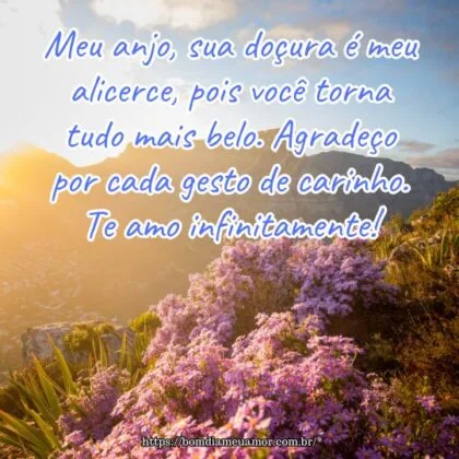 Meu anjo, sua doçura é meu alicerce, pois você torna tudo mais belo. Agradeço por cada gesto de carinho. Te amo infinitamente!