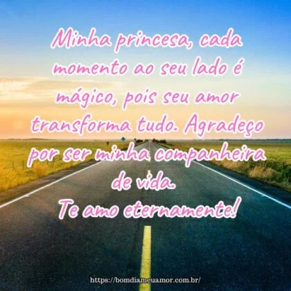 Minha princesa, cada momento ao seu lado é mágico, pois seu amor transforma tudo. Agradeço por ser minha companheira de vida. Te amo eternamente!