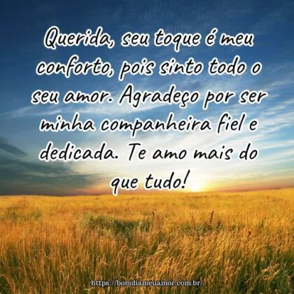 Querida, seu toque é meu conforto, pois sinto todo o seu amor. Agradeço por ser minha companheira fiel e dedicada. Te amo mais do que tudo!