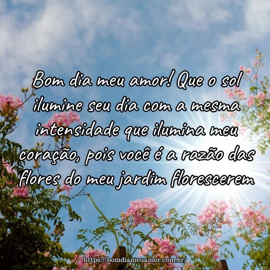 Mensagem de bom dia com sol e flores