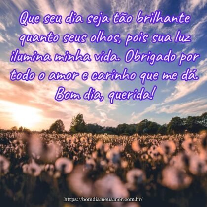 Que seu dia seja tão brilhante quanto seus olhos, pois sua luz ilumina minha vida. Obrigado por todo o amor e carinho que me dá. Bom dia, querida! Que seu dia seja tão brilhante quanto seus olhos, pois sua luz ilumina minha vida. Obrigado por todo o amor e carinho que me dá. Bom dia, querida!